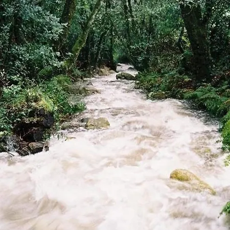 In Ihrer Reinsten Form
